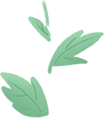 124159z4xn6y4lslns96x8.png