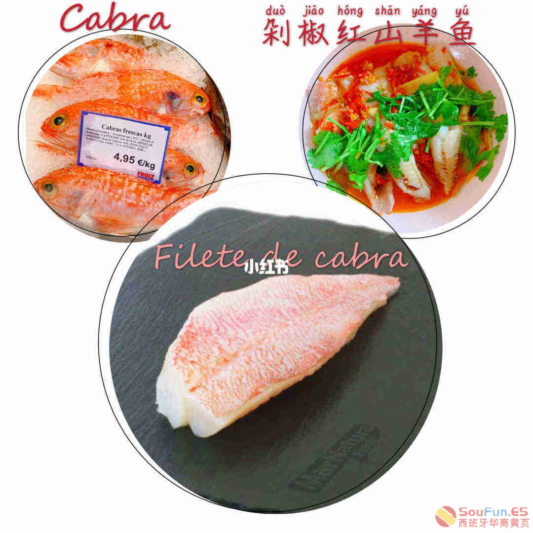 257ceded-275e-efc0-f142-116041eeca62.jpg