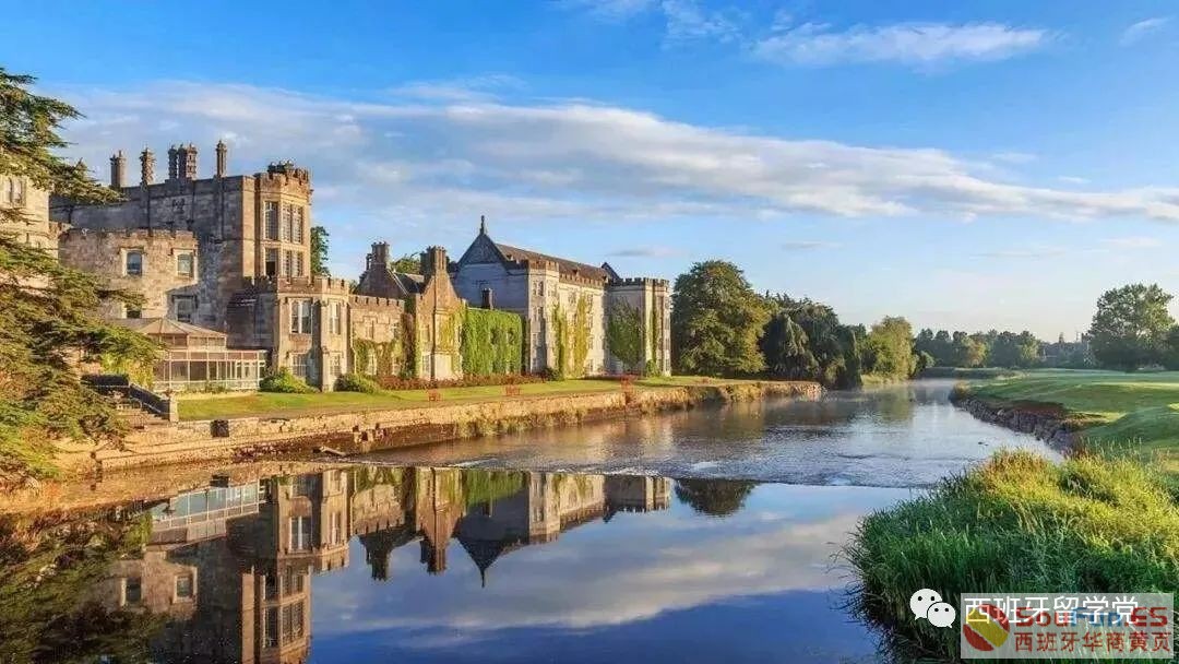 220911omnuurmmczcuhhgm.jpeg